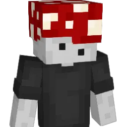 werj_ Minecraft avatar bust
