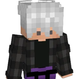 wertvoll Minecraft avatar bust