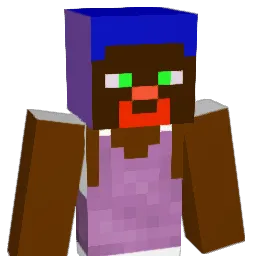 werwet8 Minecraft avatar bust