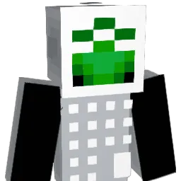 wery4567890 Minecraft avatar bust