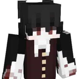 whb9948 Minecraft avatar bust