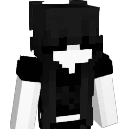 whj Minecraft avatar bust