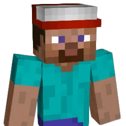 whojo Minecraft avatar bust