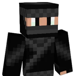 whovian012 Minecraft avatar bust