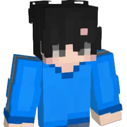 why_see_ Minecraft avatar bust
