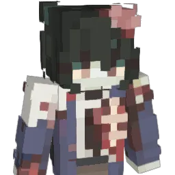 whynotisee