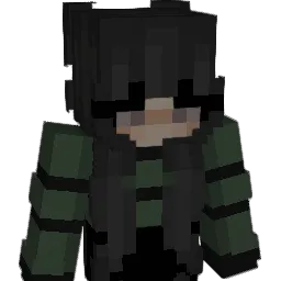 wia_21_ Minecraft avatar bust