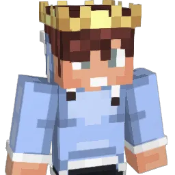 widawlaysigma Minecraft avatar bust