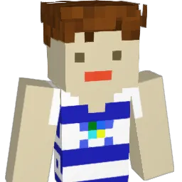 widtee Minecraft avatar bust