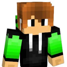 widyboy Minecraft avatar bust