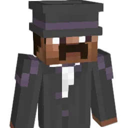 widzWK's Minecraft skin