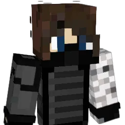 wierdude111 Minecraft avatar bust