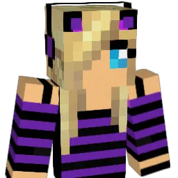wiet8 Minecraft avatar bust