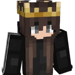 wifi_irwin94 Minecraft avatar bust