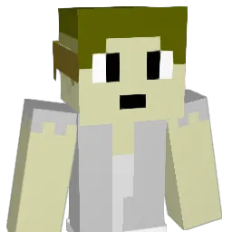 wifilung Minecraft avatar bust