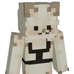 wiidog Minecraft avatar bust