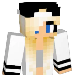 wiki2478 Minecraft avatar bust