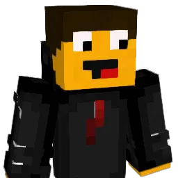 wiktor153_PRO Minecraft avatar bust
