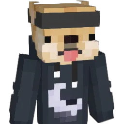 wiktorek33229 Minecraft avatar bust