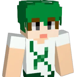 wilder17 Minecraft avatar bust