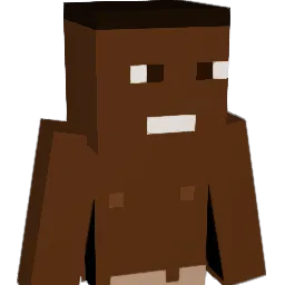 wildrice11 Minecraft avatar bust