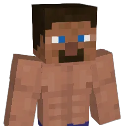 wildseira Minecraft avatar bust