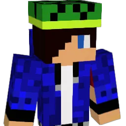 will24680 Minecraft avatar bust