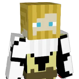 william20 Minecraft avatar bust