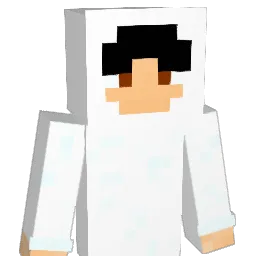willrxz1200 Minecraft avatar bust