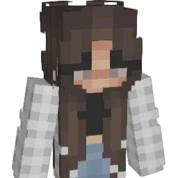 willson4208 Minecraft avatar bust