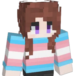 windr69 Minecraft avatar bust