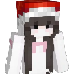 wingball Minecraft avatar bust