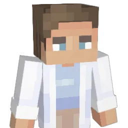 winiallwas Minecraft avatar bust