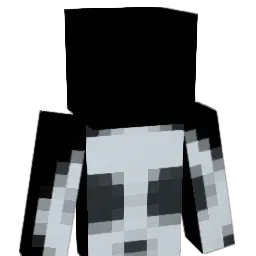 winkingskull Minecraft avatar bust