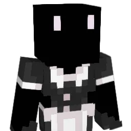 winner611307 Minecraft avatar bust