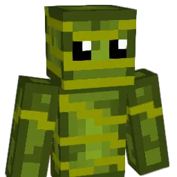 wintrmelone Minecraft avatar bust