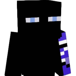 wish37 Minecraft avatar bust