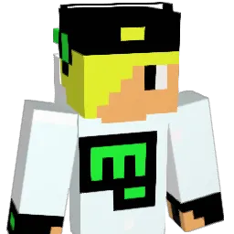 wisssamgamer Minecraft avatar bust
