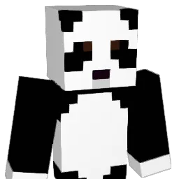 wit123jk Minecraft avatar bust