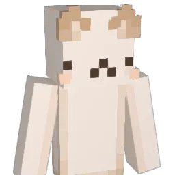 with Minecraft avatar bust