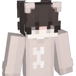 wizisco's Minecraft skin