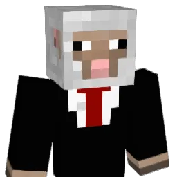 wj2016's Minecraft skin