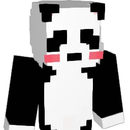 wjdtn062 Minecraft avatar bust
