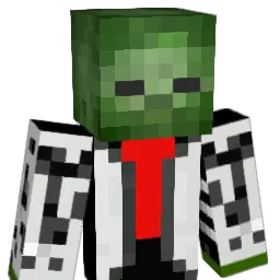 wjs0415 Minecraft avatar bust
