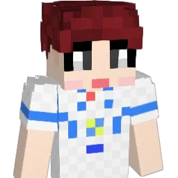 wjswoals_ Minecraft avatar bust