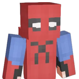 wldms_211 Minecraft avatar bust