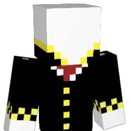 wm12312 Minecraft avatar bust