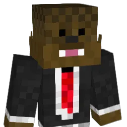 wmeier1123 Minecraft avatar bust