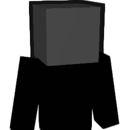 wmwi Minecraft avatar bust