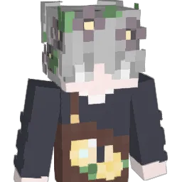 wnd17's Minecraft skin